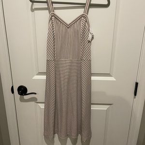 NWT! Loft beige and black stripe cotton dress